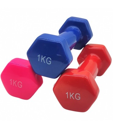 Hantel 1kg, sinine ja punane