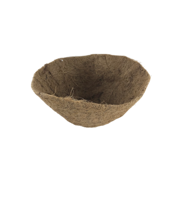 Lilleampli kookossisu 30cm