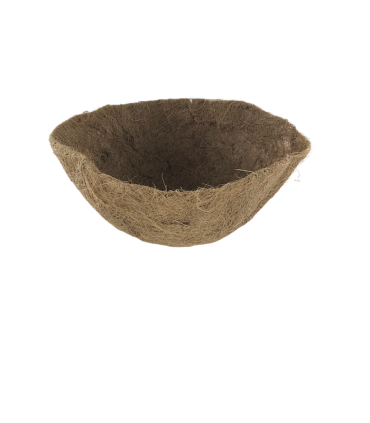 Lilleampli kookossisu 40cm