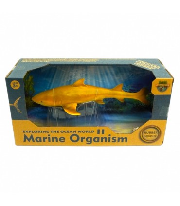 Mereloomad, erinevad