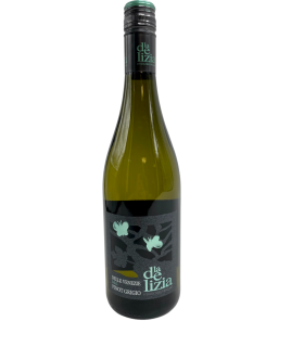 Delle Venezie Delizia pinot grigio, valge/kuiv, 12%vol, 75cl Vein KPN