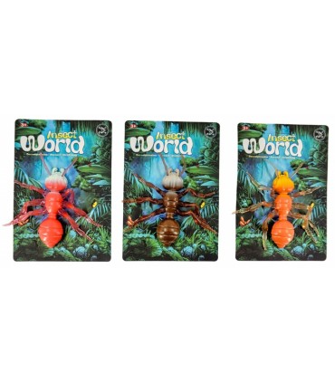 Painduv ämblik, erinevad