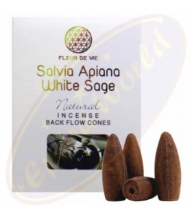 Viiruk Salvia Apiana 16g, 10tk