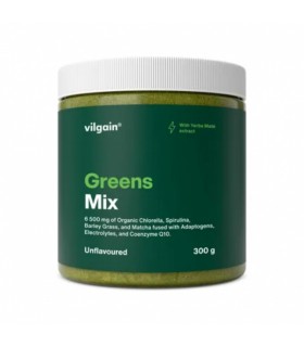 Toidulisand Yerba Mate, Vilgain 300g