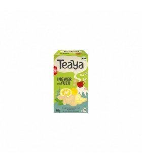 Tee ingveri ja juunosidruniga, Teaya 40g/20tk