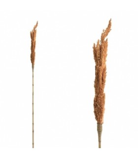 Kuivatatud dekoratiivne vars, PTMD, pruun 180cm