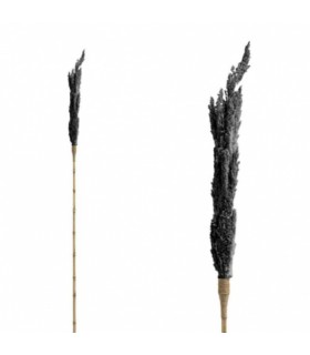 Kuivatatud dekoratiivne vars, PTMD, must 180cm