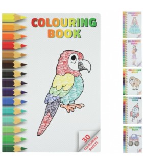 Värviraamat A4 30-lehte erinevad