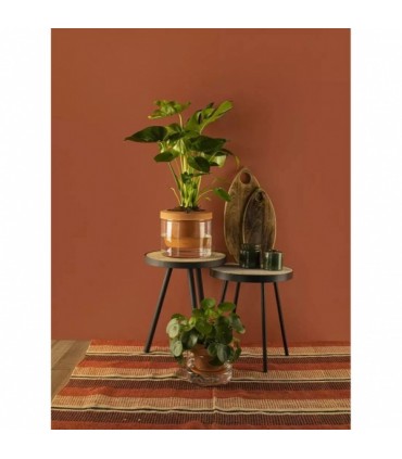 Lillepott ise-kastev, Gusta ø14cm