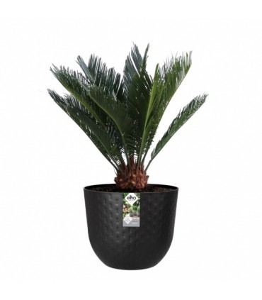 Lillepott, Elho Fuente Grains, must Ø30cm