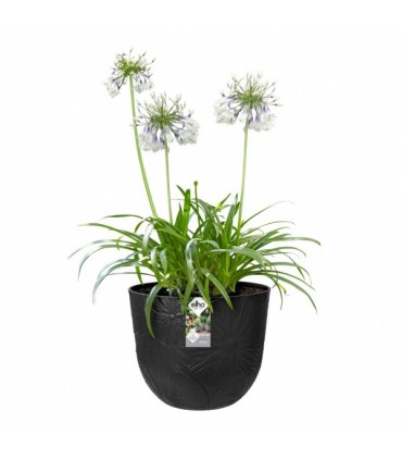 Lillepott, Elho Fuente Lily, must Ø30cm