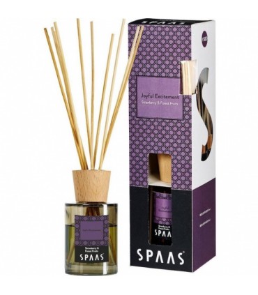 Õhuvärskendaja Joyful Excitement, Spaas 80ml