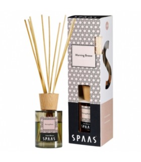 Õhuvärskendaja Morning Breeze, Spaas 80ml