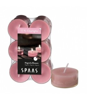 Teeküünlad Magnolia, Spaas 12tk/ 8h