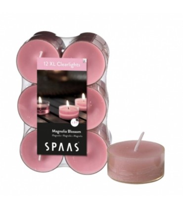Teeküünlad Magnolia, Spaas 12tk/ 8h