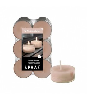 Teeküünlad Cotton Blossom, Spaas 12tk/ 8h