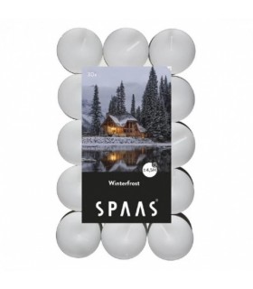 Lõhnateeküünal, Spaas, erinevad 4.5h, 30tk