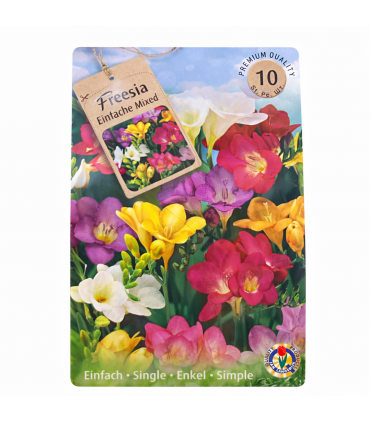 Lillesibul Freesia Mixed 10tk