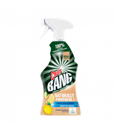 Puhastusvahend vannitoale, Cillit Bang 750ml