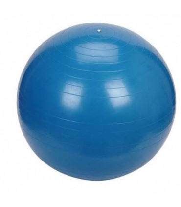 Treeningpall 65cm, sinine