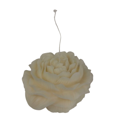 Küünal Pojeng, 16x5cm